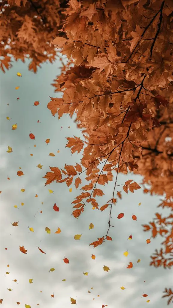 Simple autumn phone wallpaper with animated falling leaves for iPhone.