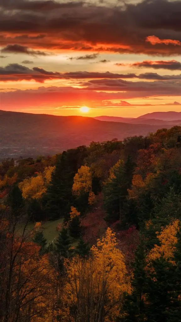 Autumn phone wallpaper with a stunning golden sunset over a fall landscape.