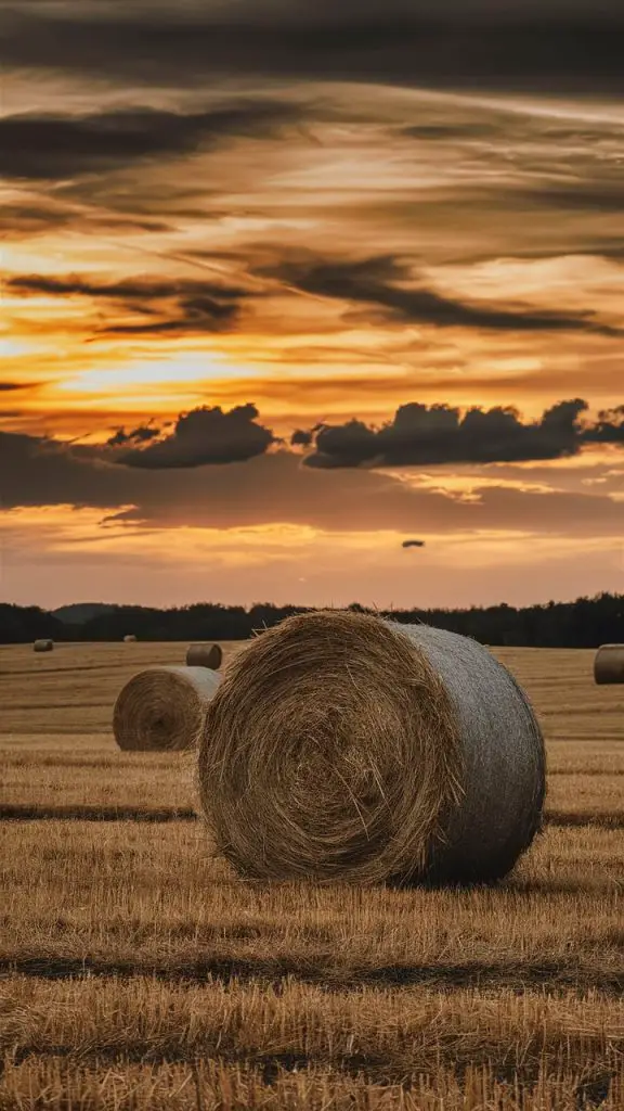 Plain fall background for iPhone with hay bales in a harvest field.