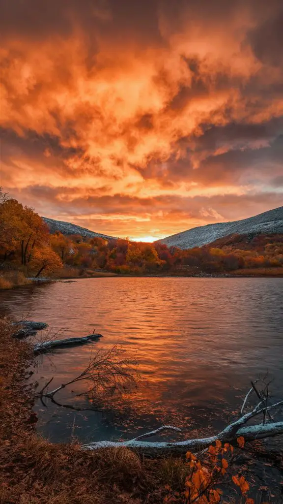 Autumn phone wallpaper with a stunning golden sunset over a fall landscape.