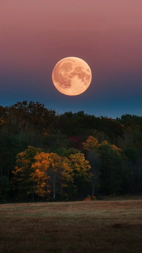 Rustic fall wallpaper for iPhone featuring a glowing harvest moon against fall colors.